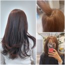 송도 센트럴파크 미용실 민지쌤 뿌리염색 앞머리펌 후기