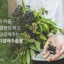 뉴앤바디 이미지