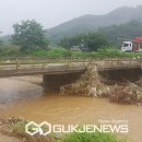 사자골천 국제뉴스