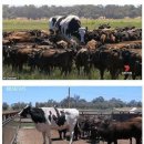 소보소농장 이미지