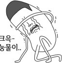 비룡키즈태권도장 이미지