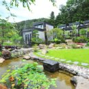 아리지 핀란드 이미지