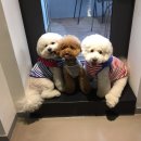 봉브라더스 네이버블로그