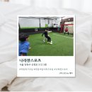 나라찬축산 | [서울/양천] 목동축구교실 나라찬스포츠 아이가 더 기다리는 운동시간 솔직후기