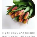 제이제이농장 이미지