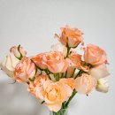 정기1농장 | 생화농장직송 택배 꽃정기구독 유스풀몰에서 싱싱하게 받아요