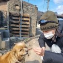 종합동물약품 이미지