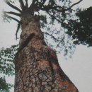 새터민박 이미지