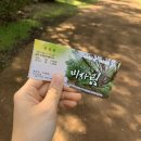발길 닿는 대로 제주 (3) 비자림