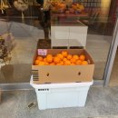 차푸릇 이미지