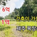 유정도시설계 Daum카페
