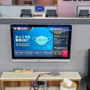 파두스 이미지