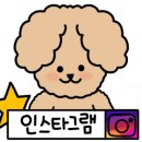 리치펫살롱 이미지