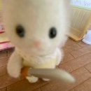 탐나금악 협동조합 | 17 - 4