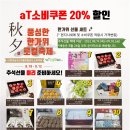 모현배