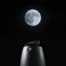 The 건강나무 이미지