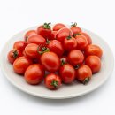 토마토푸드 이미지