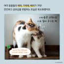자연책사랑 이미지