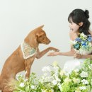 양원역로 | 서울 스튜디오 웨딩스냅 촬영 후기 | 가든더블유 스튜디오