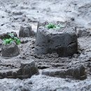 강동행정사 이미지