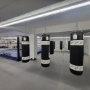 위너 복싱 이미지