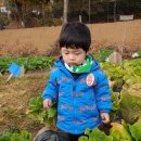 소은농장 이미지