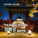 가을밤의 별빛산책 &#34;경복궁 별빛야행&#34; 총평 (25년 하반기)