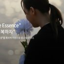 천국의계단상조 이미지