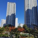 이안뜰어린이집 이미지