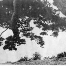 주영초등학교 이미지