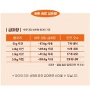 멍멍이대학 - 2771 | 멍멍이대학