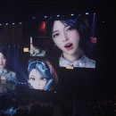 나이비스