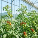 퇴촌농협주유소 - 광주군 | 퇴촌농협주유소