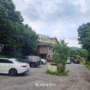 포도나무집 | 남양주 맛집 포도나무집 솔잎 왕 돼지갈비 &amp; 비빔냉면 후기