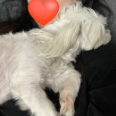 낙동대로249번길 이미지