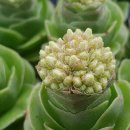 화춘농장 이미지