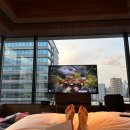 로얄 사우나 이미지