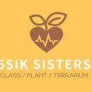 반려식물 테라리움 만들기 이미지