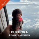 41190-01-07-220 | 일본여행 후쿠오카 2박3일 2인 기준 여행경비