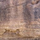 CW-1219-01 이미지