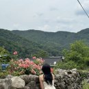군위 남천고택 한옥펜션 후기: feat. 육지 속 제주도 한밤마을🍃🌿☘️ㅣ부곡식당ㅣ돌담칼국수