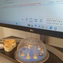 주치과교정과치과의원 이미지