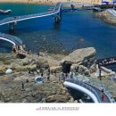 송도용궁구름다리 이미지