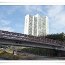 당현천주변 이미지