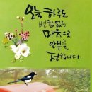 지금이순간 네이버블로그