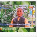 쩡이네보물창고 이미지