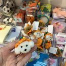 도기슈퍼 | 제주도 소품샵 투어 5곳 후기 | 미피, 키티, 감성소품샵