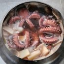 15일- 구이용 활감성돔, 구이용전어, 활숫꽃게, 활돌소문어, 활민어회, 숫치민어, 암치민어, 냉동오징어, 조기포, 햇고춧가루, 청양고 이미지