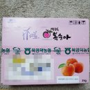 영덕싱싱농원 이미지