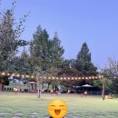 댕그리 | [김포 고촌] 넓은 잔디밭 강아지운동장 애견카페 추천 / 애견동반 브런치카페 댕그린 후기